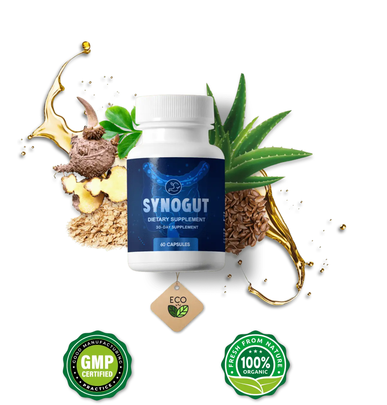 SynoGut Digestive Health Support
